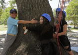 另類迎新「給樹抱抱」校長帶領新生攀爬生命樹的活動照片